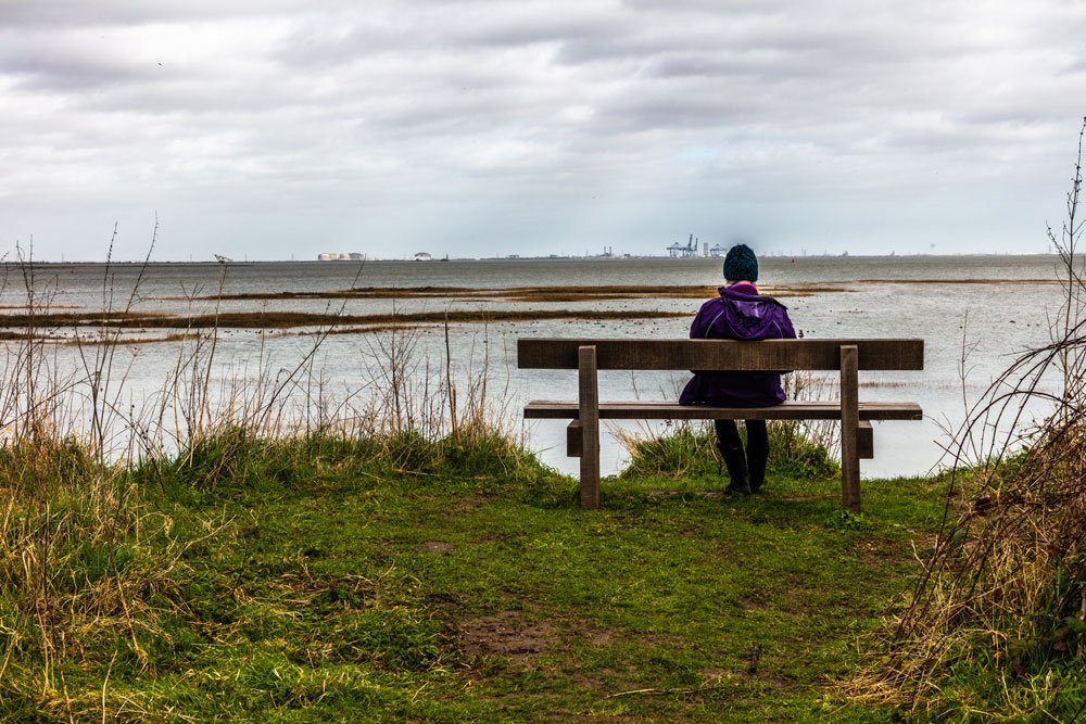 Medway Estuary and Marshes, a 4,748.8-hectare biological Site which stretches along the banks of the River Medway between Gillingham and Sheerness in Kent.